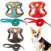 Pet Harness Set, 2 Pieces view 2