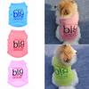 Cute Summer Dog Shirt view 3