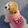 Cute Summer Dog Shirt view 4