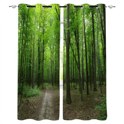 ZDLLDZ Green Forest Nature Blackout Curtains for Kids' Room or Bedroom, Cartoon Window Curtains, 117 x 214 cm (W x H), Set of 2