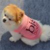 Cute Summer Dog Shirt view 2