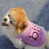 Cute Summer Dog Shirt view 4