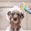 Vesone Dog Shampoo and Bath Brush with Soap Dispenser view 3