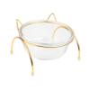 FRCOLOR Elevated Glass Pet Bowl with Slanted Design and Metal Stand view 1