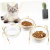 FRCOLOR Elevated Glass Pet Bowl with Slanted Design and Metal Stand view 4