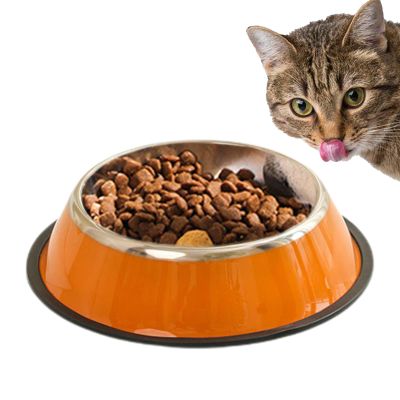 Stainless Steel Pet Water Bowl