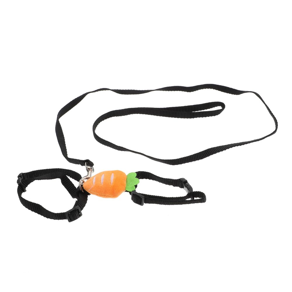 Beavorty Soft Leash for Small Pets