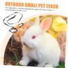 Beavorty Soft Leash for Small Pets view 2