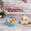 Hamster Water and Food Bowl view 2