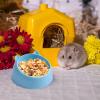 Hamster Water and Food Bowl view 3