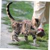 Beavorty Adjustable Cat Harness and Leash Set view 2