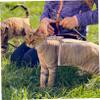 Beavorty Adjustable Cat Harness and Leash Set view 3