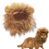 Lion Costume for Cats view 1