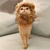 Lion Costume for Cats view 4