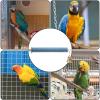 Parrot Grinding Claw Station view 3