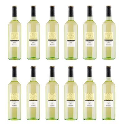 12 x 0.75 L Quercianera Pecorino Terre di Chieti I.G.P. Dry White Wine