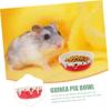 Angoily Ceramic Hamster Food Bowl for Guinea Pigs and Hamsters, Break-Resistant, Easy to Clean view 2
