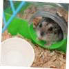Angoily Ceramic Hamster Food Bowl for Guinea Pigs and Hamsters, Break-Resistant, Easy to Clean view 4