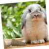 Rabbit Chew Toy for Guinea Pigs with Dental Cleaning Water Grass view 3