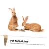 Rabbit Chew Toy for Guinea Pigs with Dental Cleaning Water Grass view 4