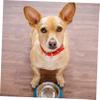 Angoily Zinc Alloy Pet Tag Clip in Silver view 3