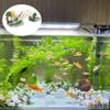 CuiCanfla Fish Tank Ornament view 3