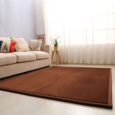 ZIKGER Coral Velvet Mat, Kids' Room Gym Mat, Thick Crawling Rug, 180 × 180 cm