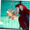FRCOLOR Parrot Chew Toy view 2