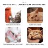 maxal Catnip Toy view 4