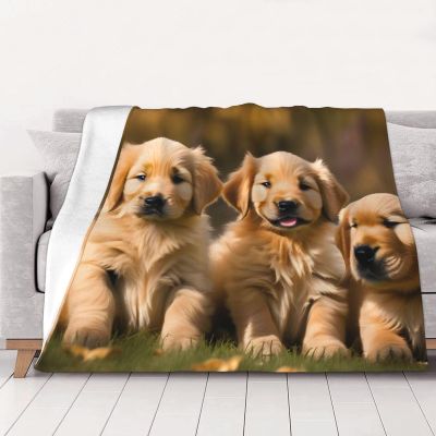 Golden Retriever Flannel Blanket for Dogs, Puppies & Pets, Soft Plush Microfiber, 101.6 x 76.2 cm