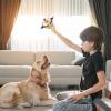 Plush Dog Toy, Interactive Chew Toy for Enrichment view 2