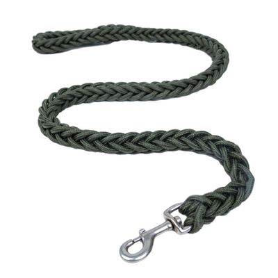DSOUWEH Nylon Dog Leash