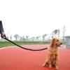 DSOUWEH Nylon Dog Leash view 4