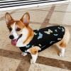 Butterfly Dress, Full-Moon Dog Shirt, Summer Pet T-Shirt, Soft Sleeveless Tank Top for Small Puppies and Cats, S view 4