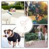 Aznever Dog Training Rope view 4