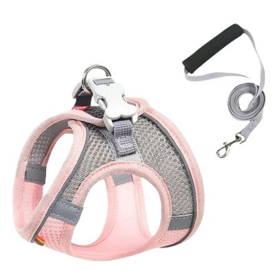 Adjustable Pet Leash for Small and Medium Dogs