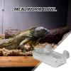 Reptile Feeding Bowl - Anti-Escape view 2