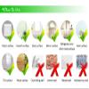 YOUSHIHUI Children's Room Wall Sticker, Decorative Wall Art, 56 x 49 cm view 4