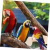 Beavorty Wooden Chicken Stand for Small Animals view 3