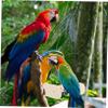 Beavorty Wooden Chicken Stand for Small Animals view 4