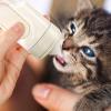 Puppy Feeding Bottle, 150 ml view 4