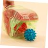 Portable Pet Waste Cleaner with Scoop and Bags view 4