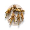Warnick's Dog Treats, Brown Dried Chicken Feet - 3 kg view 1