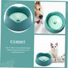 Abrasion-Resistant Plastic Food Bowl for Puppies and Kittens, Green view 4