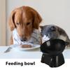 Elevated Cat Bowl view 2