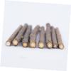 Minkissy Cat Dental Care Sticks with Catnip view 2
