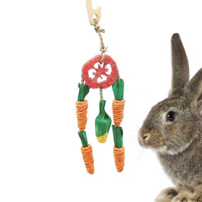 Eastuy Rabbit Chew Toy
