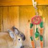 Eastuy Rabbit Chew Toy view 2
