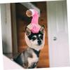 BUGUUYO 2-Piece Pet Hat Set for Dogs and Cats view 3