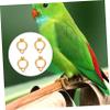Beavorty 12-Piece Reusable Parrot Leg Rings view 2